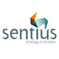 Marketing Plan Agency -Sentius Strategy image 1